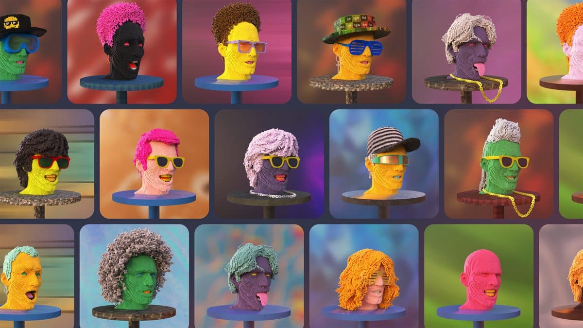 Voxel heads