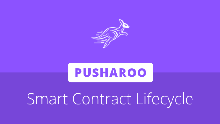 Pusharoo launches as smart contract lifecycle workspace for Neo N3